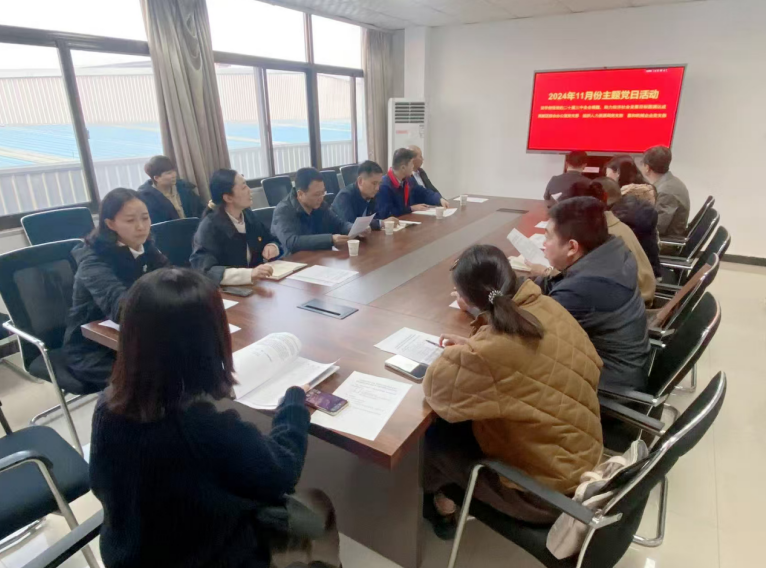 深入學(xué)習(xí)黨的二十屆三中全會(huì)精神，開(kāi)展主題黨日活動(dòng)